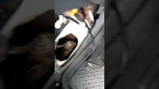 Transmission revolution sensor in Isuzu rodeo is the channel through which the oil is being put