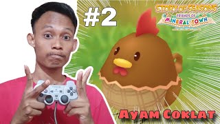 Akhirnya Punya Ayam Coklat | Story of Seasons Friends of Mineral Town Bahasa Indonesia Gameplay #2