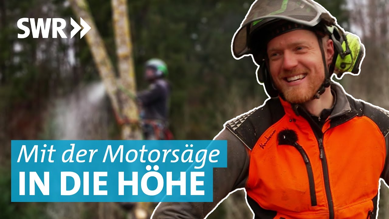 Gefahr, Artenschutz und Motorsägen: Unterwegs mit den Baumkletterern im Schwarzwald