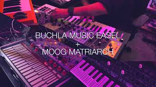 Buchla Music Easel + Moog Matriarch