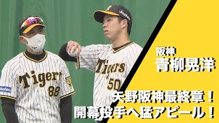 阪神タイガース】17年ぶりの優勝へ！矢野阪神のラストシーズンが始動