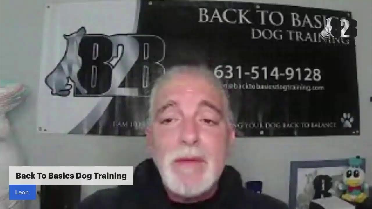 free-dog-training-with-back-to-basics-dog-training-youtube