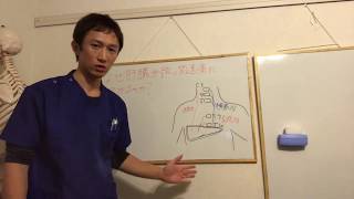 なぜ肝臓が頸部の関連痛につながるのか? 放散痛 検索動画17 なぜ肝臓が頸部の関連痛につながるのか? 放散痛 検索動画 17