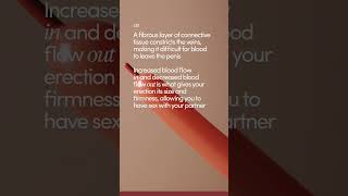 What is an erection and how do erections work? #short #shortvideo