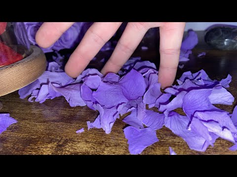 ASMR: Build up tapping on Roses - Camera tapping/scratching - Flower destruction asmr (Rose Forever)