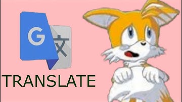 Sonic Characters Meet Google Translate