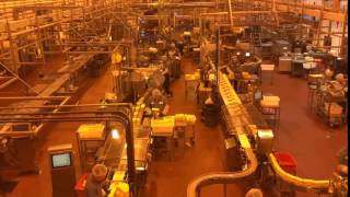 Tillimook Cheese Factory, the Disneyland of all Cheeses.