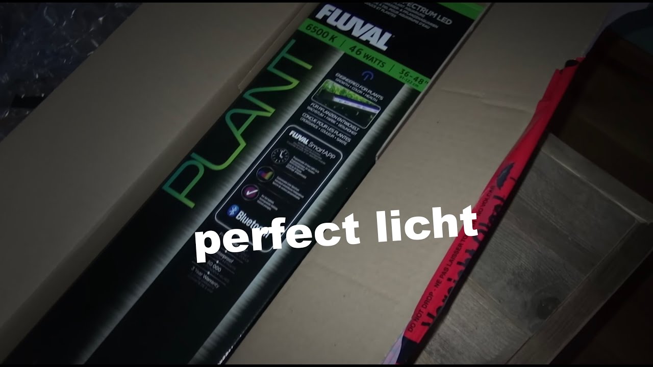 De allerbeste aquarium led verlichting!? fluval led 3.0. Aquarium