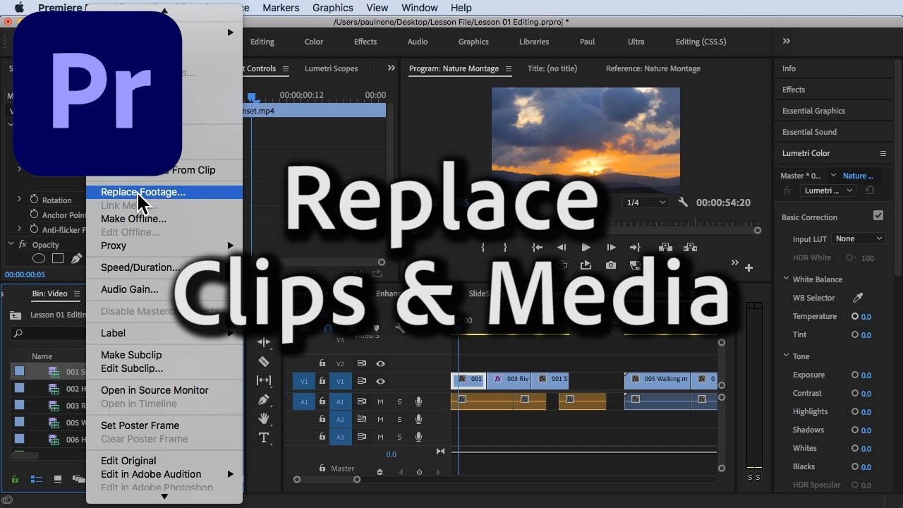 How to Replace Clips and Media without removing the existing Effects on