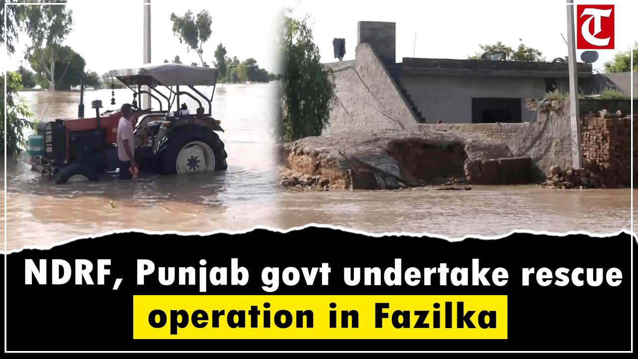 NDRF, Punjab govt conduct rescue operation at Kavawali bridge and villages in Fazilka