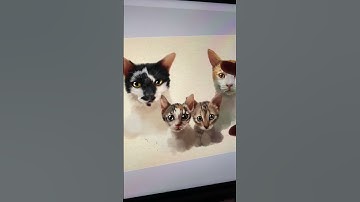 Cat drawing digital procreate highlights eye #procreate #digitalart #howtodraw #painting