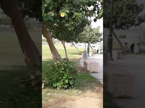 Amma Abba Hajj Jeddah