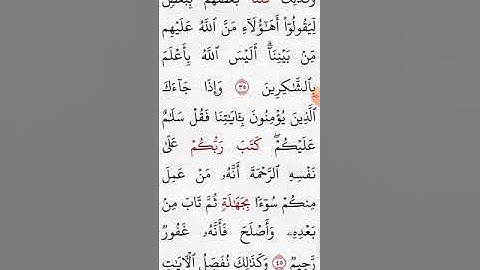 سورة الأنعام صفحة (١٣٤)