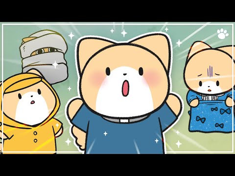 강아지에게 옷을 입혀야 하는 상황 4가지