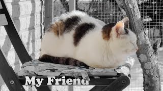 My Friend