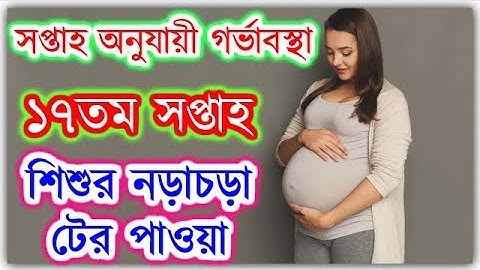 সপ্তাহ অনুযায়ী গর্ভাবস্থা । সপ্তাহ - ১৭ || Pregnancy Week by Week
