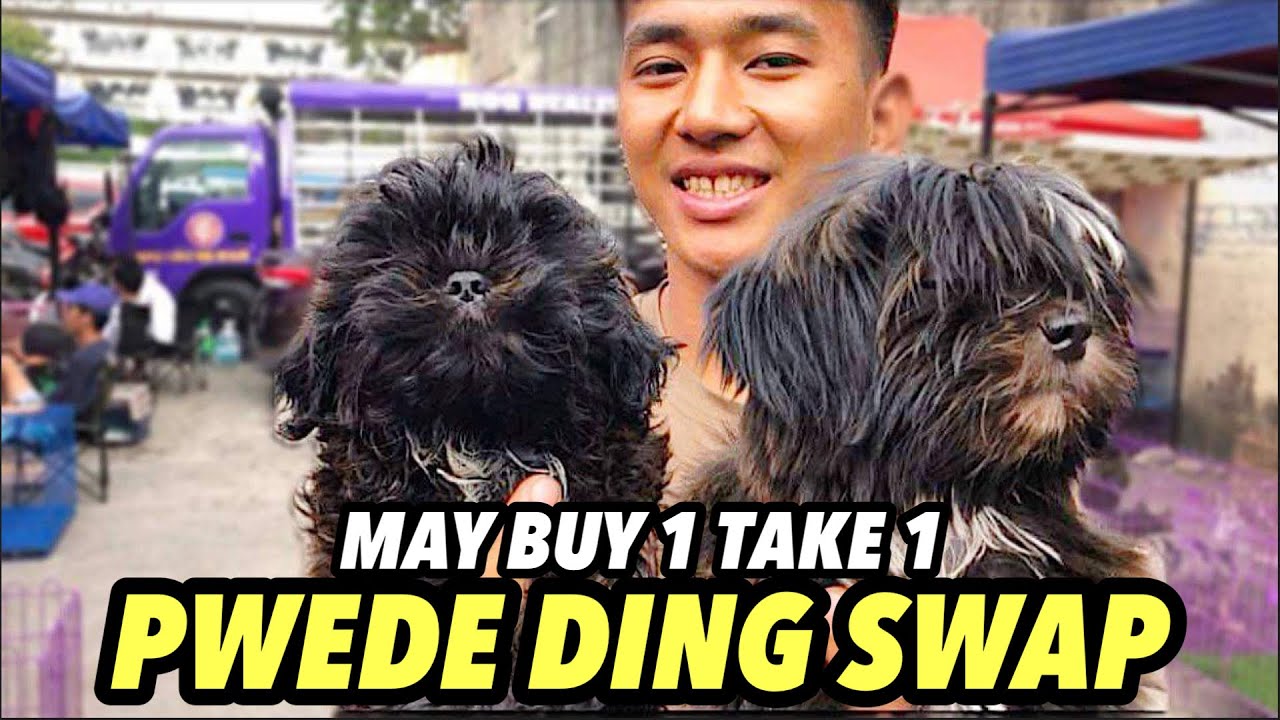 MAGAGANDANG OFFER NG PASIG PET MARKET FEBRUARY 10, 2024 YouTube