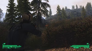 Fallout 3 | A walk to little Lamplight