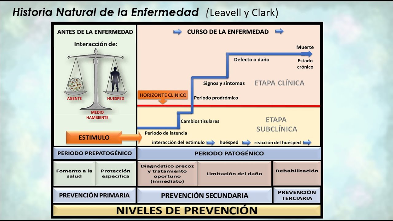 Historia Natural de la Enfermedad - YouTube