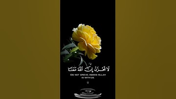 صباح الخير🍃اجمل حالات واتس اب مقاطع قصيره🍃قران كريم لا تحزن ان الله معنا🍃 عبد الرحمن مسعد🍃بدون حقوق