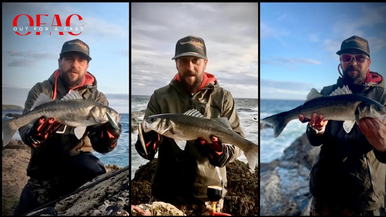 Lure Fishing For Sea Bass In Cornwall | Out For A Cast #seafishinguk