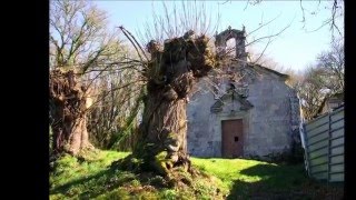 CONTORNOS DE SOUTOMERILLE (CASTROVERDE) LUGO 2016