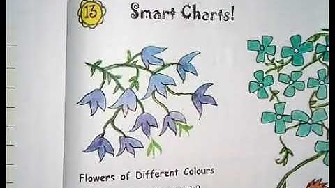 Smart Charts (Class III, Maths, Ch-13) Part-1 | KIDZ MILLENNIUM SCHOOL, ROORKEE