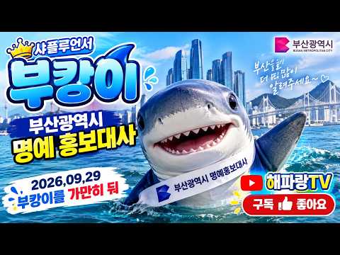 #샤플루언서 #부캉이 #부산광역시 #명예 홍보대사 #샤크턴 #부산북항 #친수공원 #2026,09,29 #60만의 혼을뺐은상어 #부산상어 #물대포이긴상어