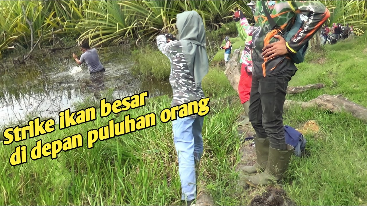 BERBURU PREDATOR LIAR Bersama pasukan ANGLER DARI RIAU