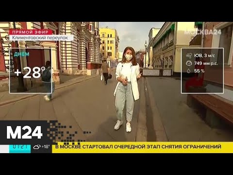 "Утро": жаркая погода ожидается в столичном регионе 16 июня - Москва 24