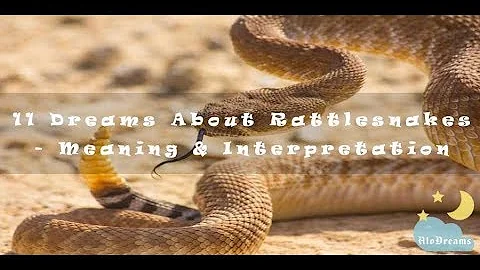 #41 Dreams About Rattlesnakes – Meaning and Interpretation