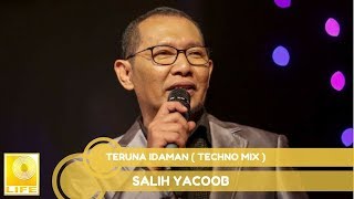 Salih Yaacob Teruna Idaman techno Mix