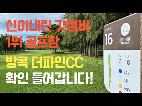 신이 내린 갓성비1위 골프장! 방콕 더파인CC 확인해봤습니다. 가성비는 최고네요~^^ #방콕골프 #더파인CC #더파인골프클럽 #태국골프
