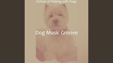 Stylish Backdrops for Calming Your Dog