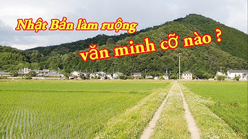 Nông thôn Nhật Bản | Ai làm ruộng thì vào xem cách Người Nhật quy hoạch ruộng