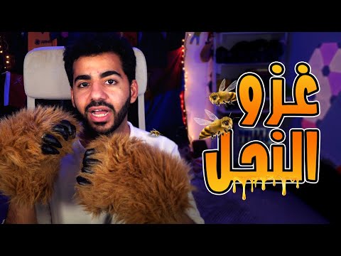 قصة غزو النحل و المطبخ حكاوي الجمعة 23