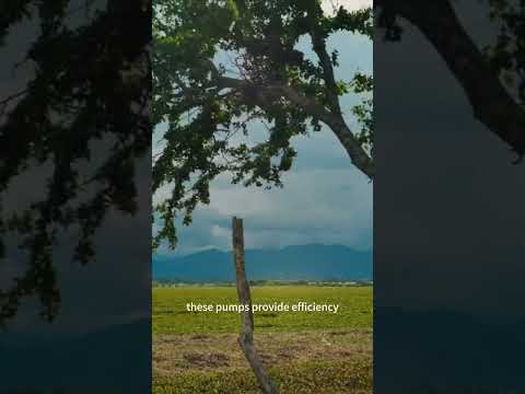 Smart Irrigation Solution