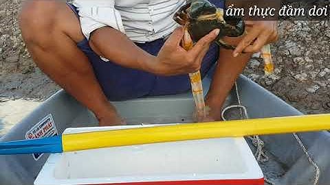 Cà mau quê tôi | Ẩm thực Đầm dơi