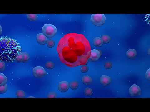 Top 10 Breakthroughs