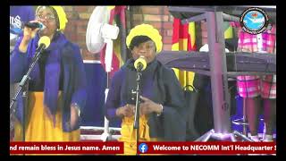 Necomm Bremen This Kind Love I Never See