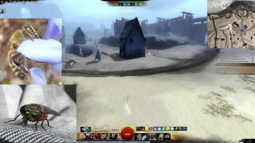 Guild Wars 2 GW2 Sylghost thief roaming AngryAaron part 6