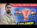 Female Reproductive System | How do Organisms reproduce Class 10 | Ovaries | Female Gametes |