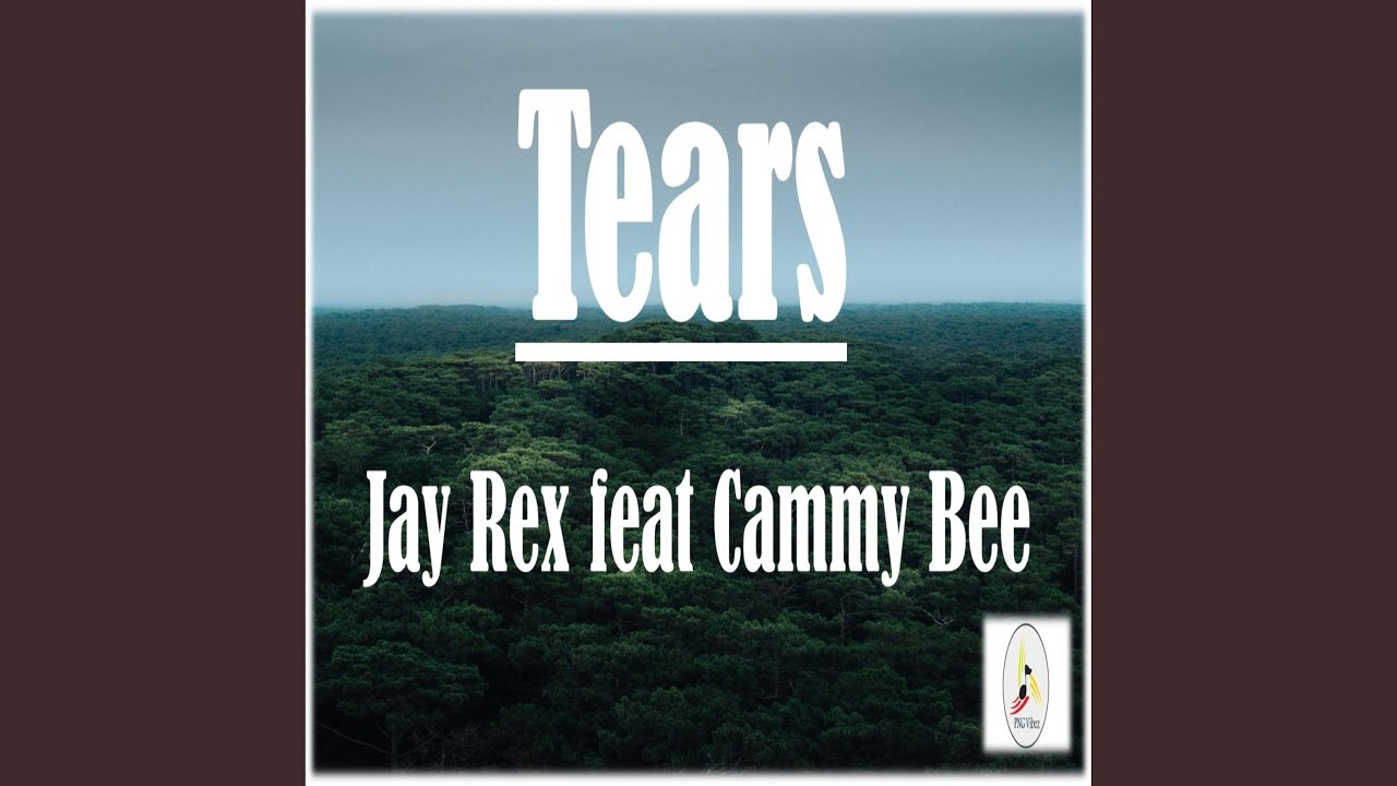 Tears feat Cammy Bee