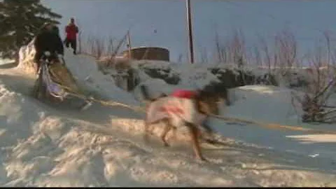 Lance Mackey Wins Iditarod 2010 (Part 1 of KTUU Li...