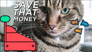 Frugal Cat Treat Advice💰 by Samo Tries Cat Stuff 175 views 2 months ago 1 minute, 10 seconds
