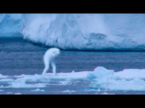 5 Mysterious Creatures Caught On Camera