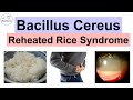 Bacillus cereus reheated rice syndrome food poisoning pathology symptoms diagnosis treatment