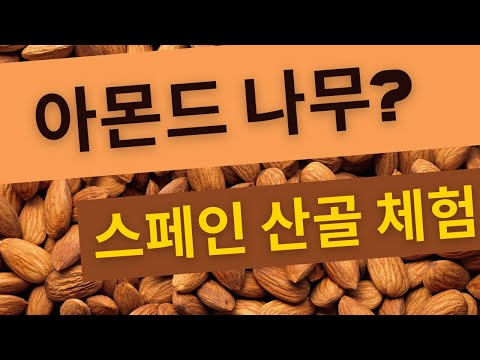 [스페인 산골 랜선투어] 아몬드가 어디서 나는지 아세요? 아몬드 나무와 아몬드가 되기까지의 과정을 보여드립니다.