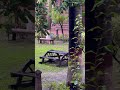GCU Lahore #1million #viralvideo #viralshorts #gcuf