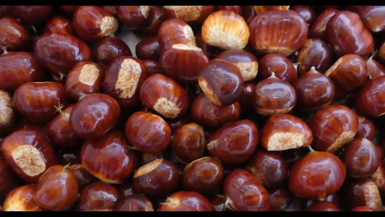 47# La crème de marrons SANS épluchage !